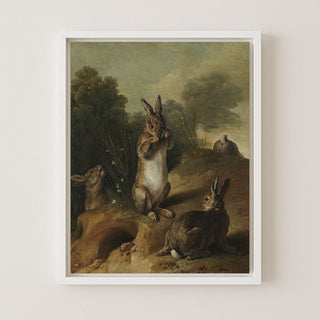 Rabbits