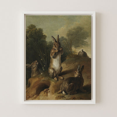 Rabbits