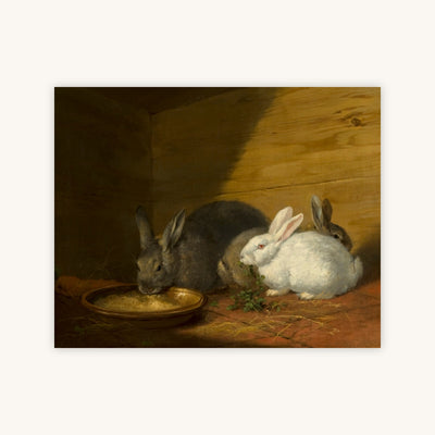 RABBITS — Primary Image