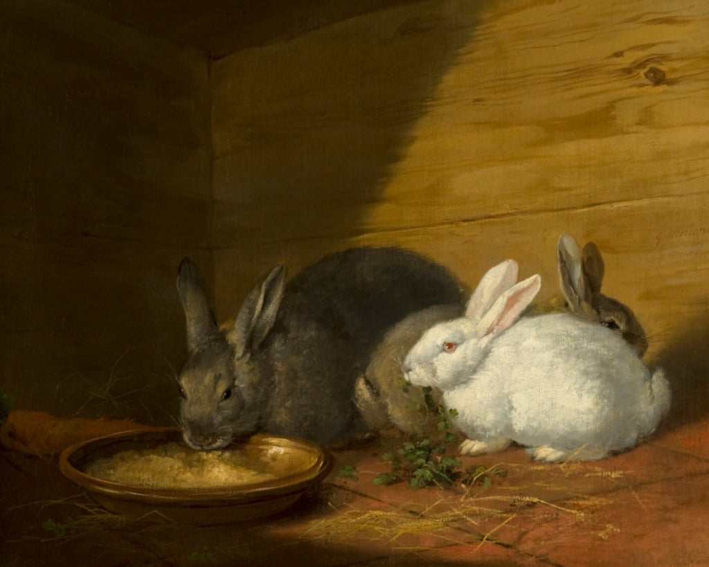 Rabbits - George Morland Art Prints - Museum Quality Art