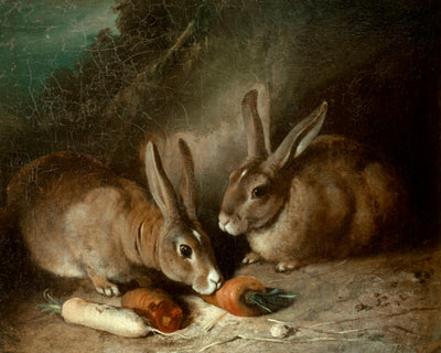 Rabbits