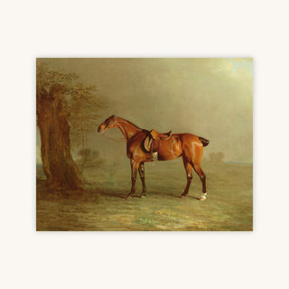 RACEHORSE — Primary Image