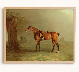 Racehorse