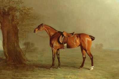 Racehorse