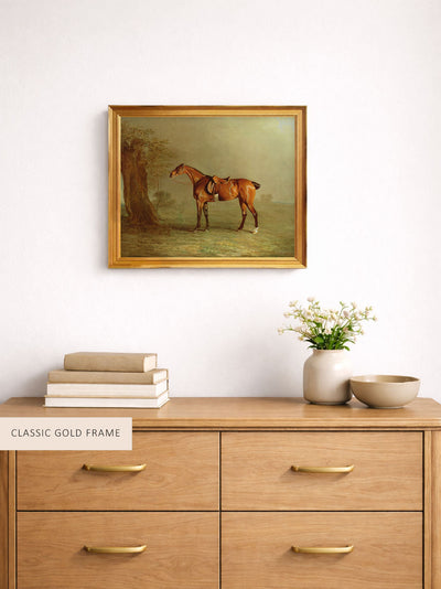 Racehorse
