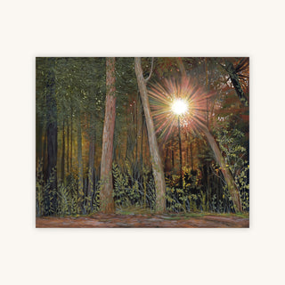 RADIANCE — Primary Image