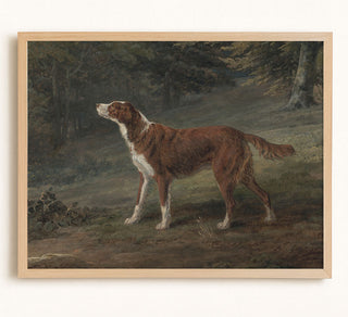 RANGER - Museum Quality Art