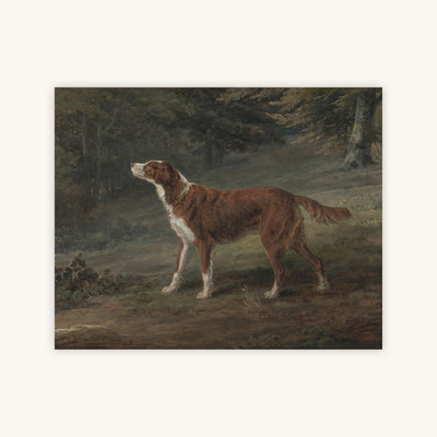 RANGER — Primary Image