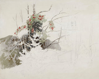 RED BRANCHES, UNFINISHED