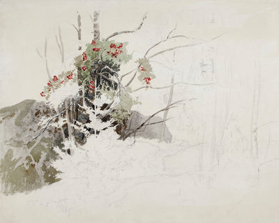 RED BRANCHES, UNFINISHED