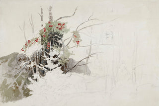 RED BRANCHES, UNFINISHED