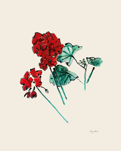 Red Geraniums