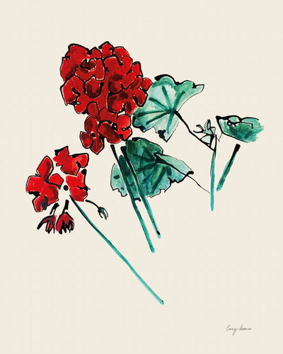 Red Geraniums