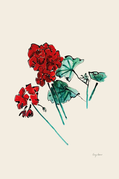 Red Geraniums