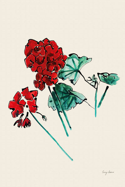 Red Geraniums