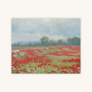 RED POPPIES — Primary Image