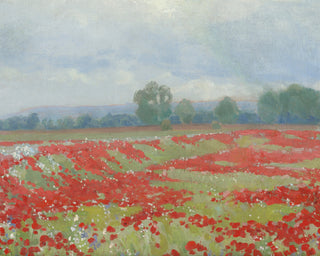 RED POPPIES