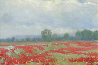RED POPPIES