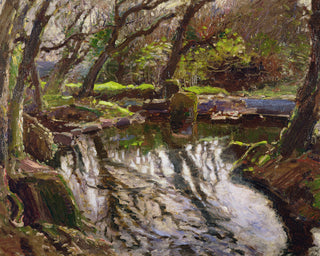 REFLECTIONS - Museum Quality Art