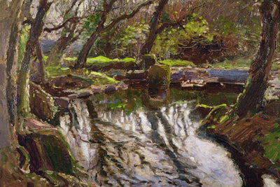 REFLECTIONS - Museum Quality Art