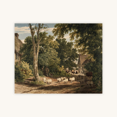 RETURNING SHEEP — Primary Image