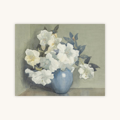 RHODODENDRON — Primary Image