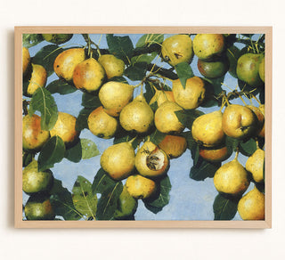 RIPENING PEARS - Museum Quality Art