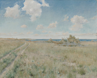 Road to the Sea