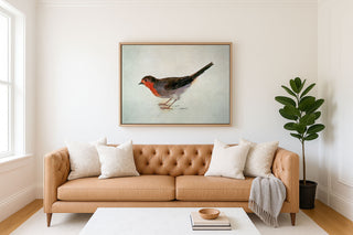 Robin