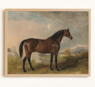 Rodolph a Bay Hunter in an Extensive Landscape
