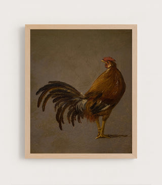 Rooster