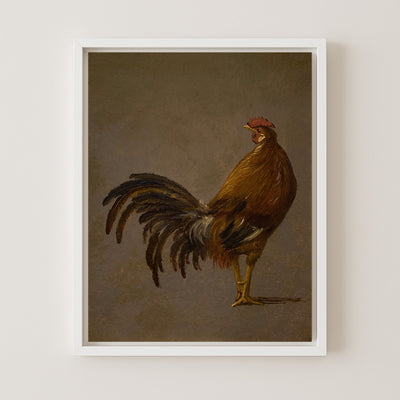Rooster