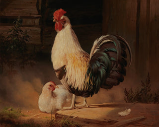 ROOSTER AND CHICKEN