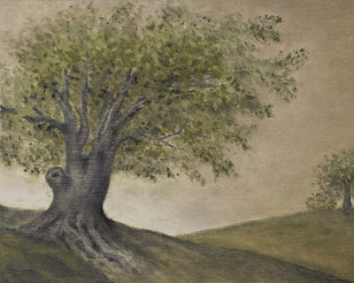 Roots