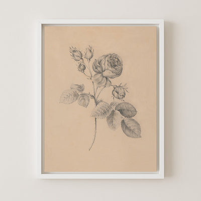 Rose Twig