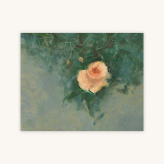 ROSE — Primary Image