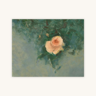 ROSE — Primary Image