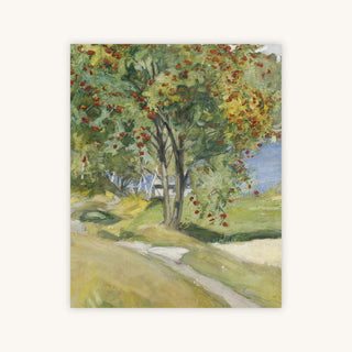 ROWAN TREE — Primary Image