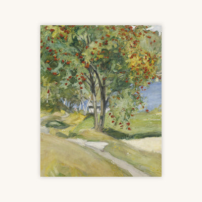 ROWAN TREE — Primary Image