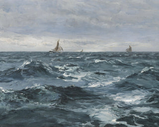 Sail on a Rough Sea
