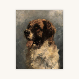 SAINT BERNARD — Primary Image