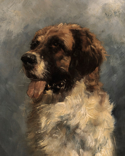 SAINT BERNARD art print - Museum Quality Art