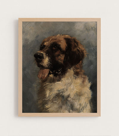 Saint Bernard