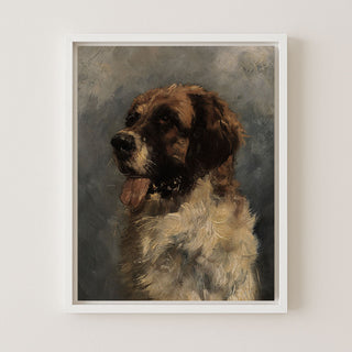 Saint Bernard