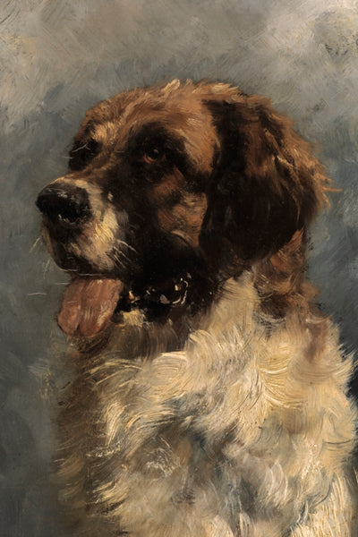SAINT BERNARD art print - Museum Quality Art