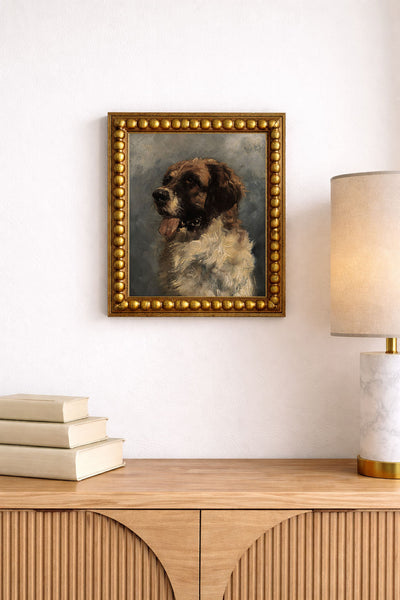 Saint Bernard
