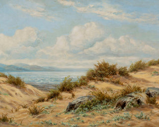 SAND DUNES ON THE CONWY