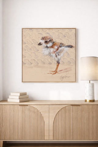 Sandpiper Chick