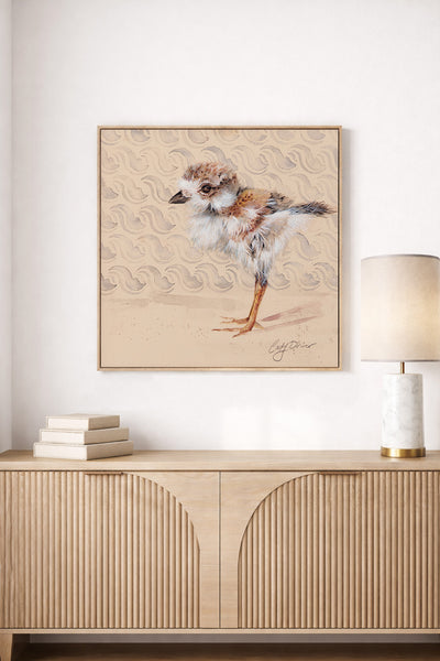 Sandpiper Chick