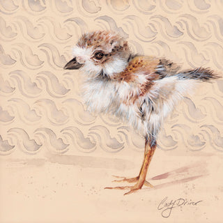 SANDPIPER CHICK - Museum Quality Art